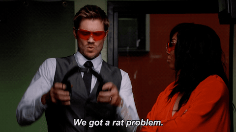 fox tv GIF by STAR