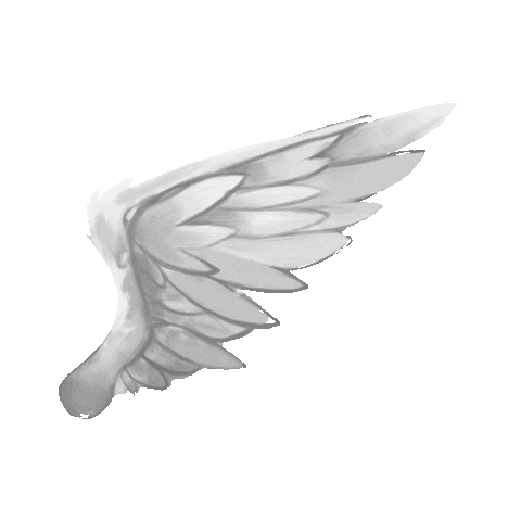 Wings Decorations Sticker by Owlient