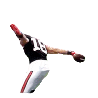 Regular Season Football Sticker by NFL