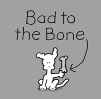 chippythedog dog dogs bad chippythedog GIF