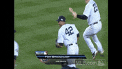 nyy GIF by MLB