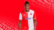 Football Celebration GIF by SK Slavia Praha
