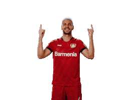 Swipe Up Bayer 04 Sticker by Bayer 04 Leverkusen
