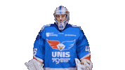 Goal Eagles Sticker by UNIS Flyers