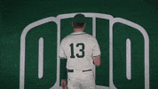 Baseball College GIF by Ohio Bobcats