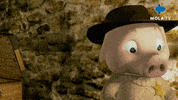 Confused Pig GIF by Mola TV Kids