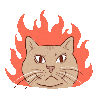 Cat Im Fine Sticker