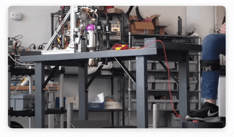 Stephanie_CreativeLead giphyupload GIF