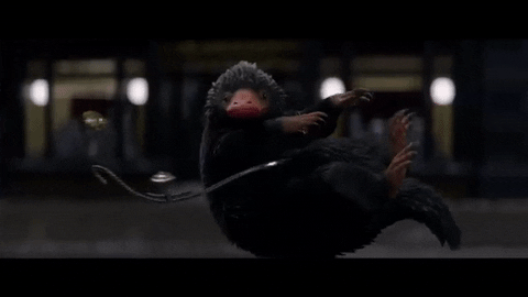 fantastic beasts GIF by Elite Daily