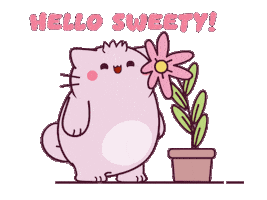 Cat Hello Sticker by Pembe