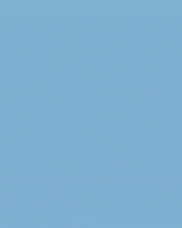 North Carolina Baseball GIF by UNC Tar Heels