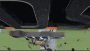 New York Yankees GIF by Jomboy Media