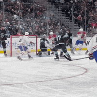 Hockey Nhl GIF by Shelly Saves the Day