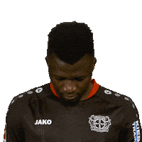 Bayer 04 Hello Sticker by Bundesliga
