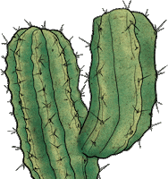 Plant Garden Sticker