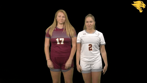 D3Soc Cuc19 GIF by CUCougars