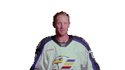 Sticker by Colorado Eagles