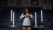 Georgia Tech Volleyball GIF by Georgia Tech Yellow Jackets