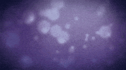 love it yes GIF