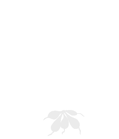 Summer Grow Sticker by Fam Flower Farm