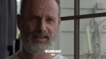 foxnederland  GIF