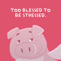 Stressed Flying Pig GIF by PositivelyPigasus