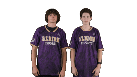 Ppp D3 Sticker by Albion College