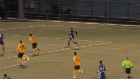 soccer GIF by Louisville City FC