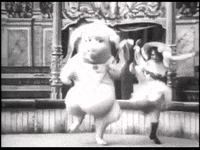 pig GIF