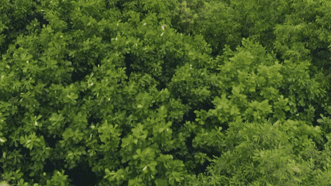 795ae3dba1794ffb883508c1a1b1bdba giphyupload GIF