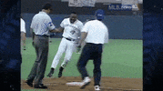 tor GIF by MLB