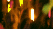 GIF by Dance Camp
