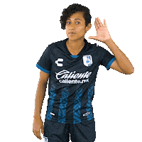 Gallos Vamos Sticker by Club Querétaro