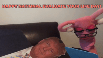 GIF by Abortion Access Front