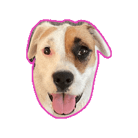 Happy Dog Sticker by arielle-m