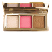 Face Palette Sticker by UP COSMETICS