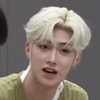 Cat What GIF