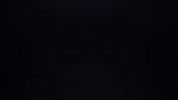 GIF by TIDAL