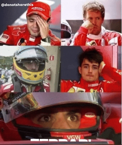 donotsharethis giphyattribution giphycreatortest donotsharethis GIF