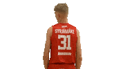 Basketball Player Sticker by Bisons