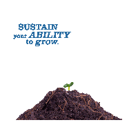Sustainability Growing Sticker by WU Executive Academy