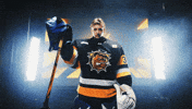 Hockey Nhl GIF by Brantford Bulldogs