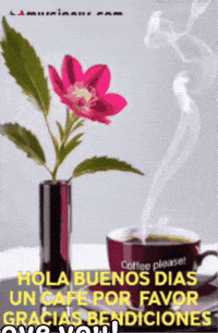 Happy Coffee GIF by Murcianys LLC