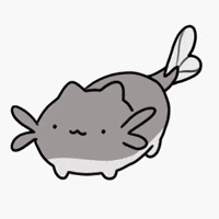 PondHQ cat yes cats silly GIF