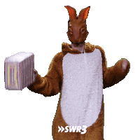 Hell Yeah Dancing Sticker by SWR3