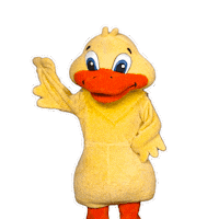 Duck Hello Sticker by Tiempo Magico TV