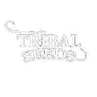 Bob Marley Reggae Sticker by Tribal Seeds