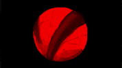 Simonwilchescastro GIF by GLAS Animation
