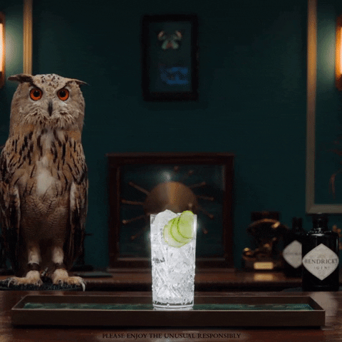 Gin And Tonic Water GIF by HENDRICK'S GIN