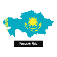 Kazakhstan Flag Sticker by Formación Ninja